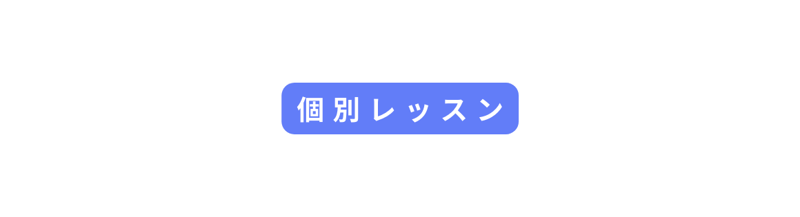 個別レッスン